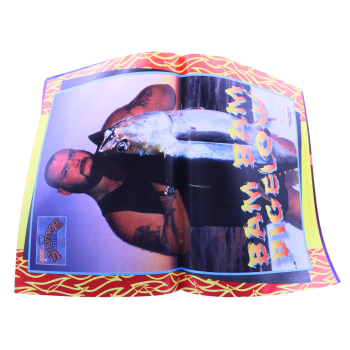 WWF Magazin Nr. 11 (1995) | Dino Verlag | Bret Hart, Undertaker & SummerSlam | Wrestling Sammlerstück